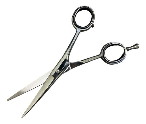 Tijeras Profesionales Hoorain Shears Corte Cabello Acero Japonés Barbero